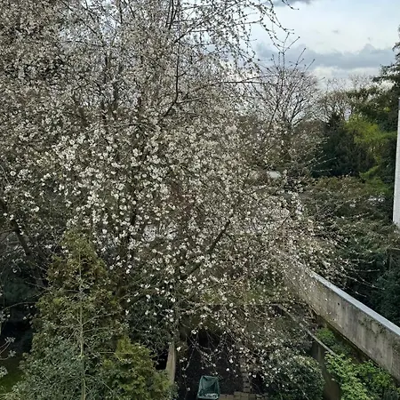 Urban Living Im Krefelder Bismarckviertel 公寓