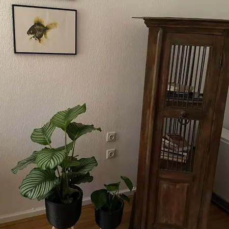 Urban Living Im Krefelder Bismarckviertel Apartment