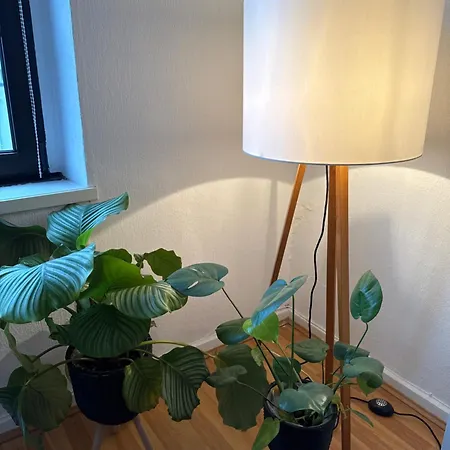 Urban Living Im Krefelder Bismarckviertel Apartmán Krefeld