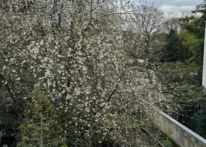 Urban Living Im Krefelder Bismarckviertel شقة