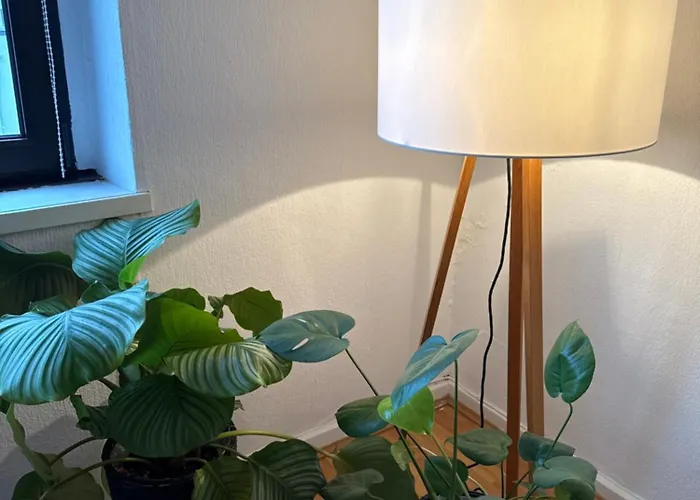 Urban Living Im Krefelder Bismarckviertel شقة كريفيلد